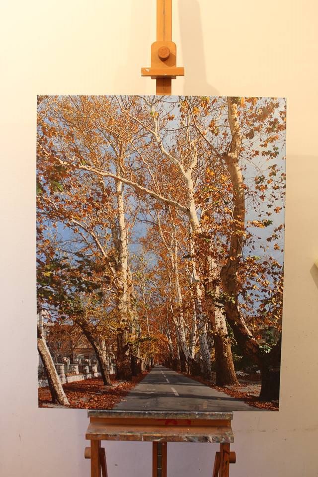 Marin Topić, hladovina 