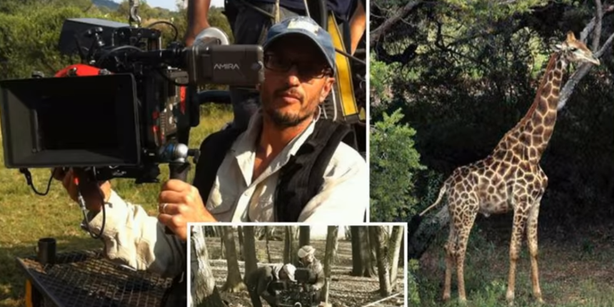 snimatelj, žirafa 