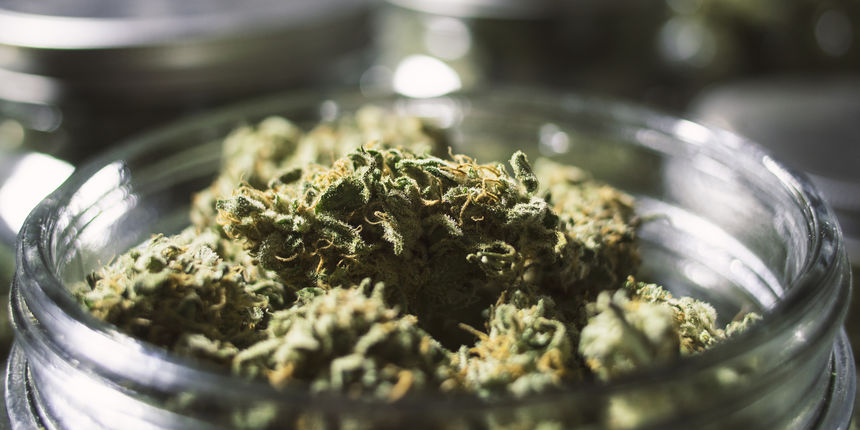 LIDL, Kanabis, droga, marihuana, Banja luka, tužiteljstvo, pritvor