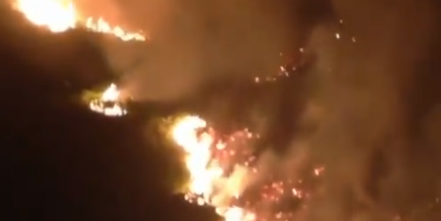 arizona, pijaca, veliki požar, materijalna šteta