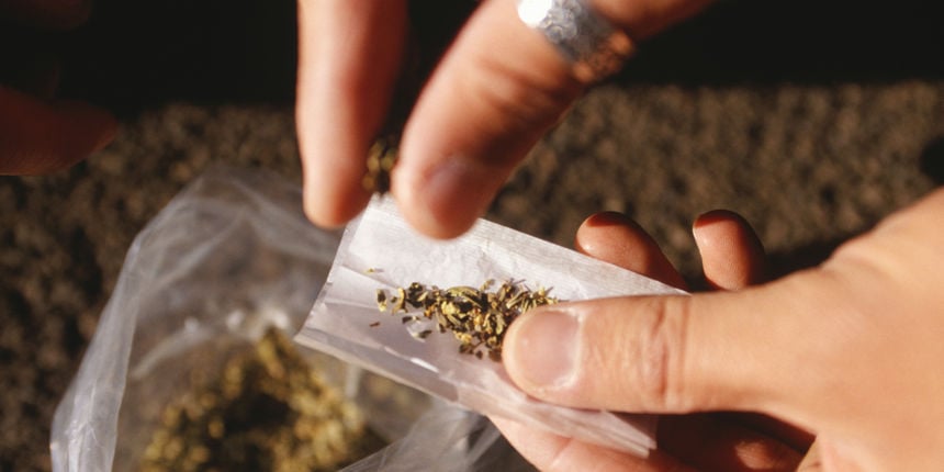 Kanabis, kazna, droga, budva