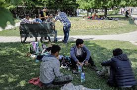 Dragan Mektić, ilegalni migranti 