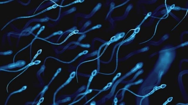 sperma