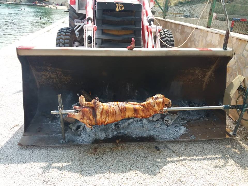 Pečeni odojak , općina marina  