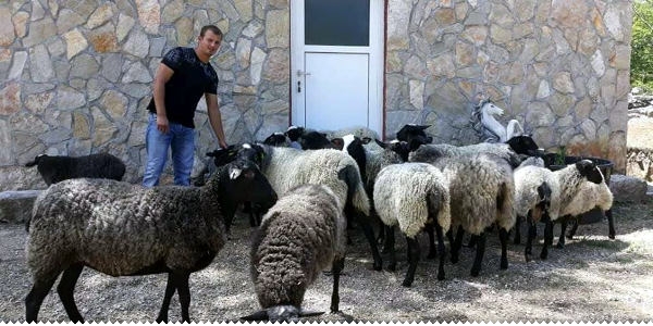 Hercegovina, Njemačka