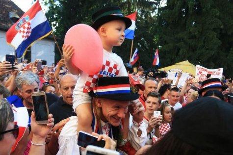 Domagoj Vida, Vatreni