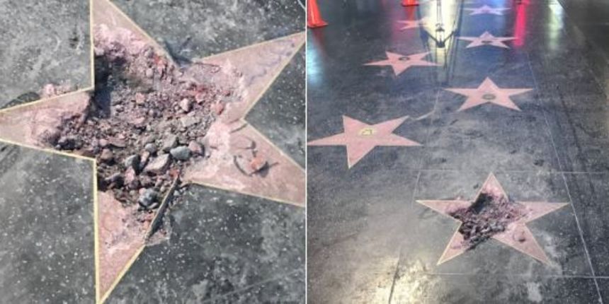 Donald Trump, zvijezda