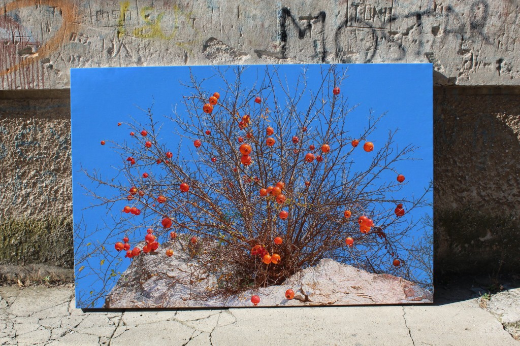 Marin Topić, Iz kamena šipci