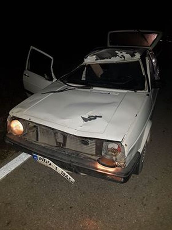 Prometna nesreća u Blizini Šujice: Konji iskočili na vozilo