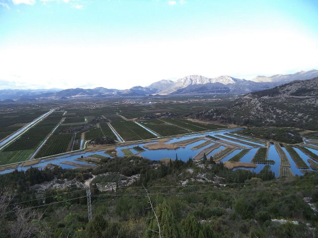 Nikola Dobroslavić, Dubrovačko-neretvanski župan, vjetro-orgulje
