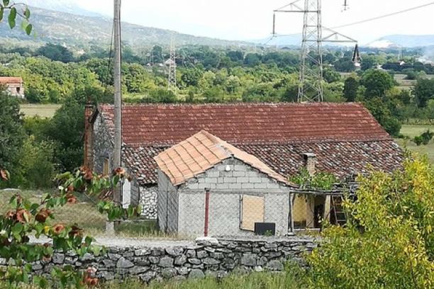 samoubojstva, samoubojstvo, braća