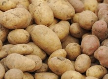 krumpir, hladnjak, zdravlje, krumpir, nestašica