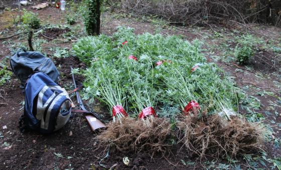 Grude, Policijski dužnosnici