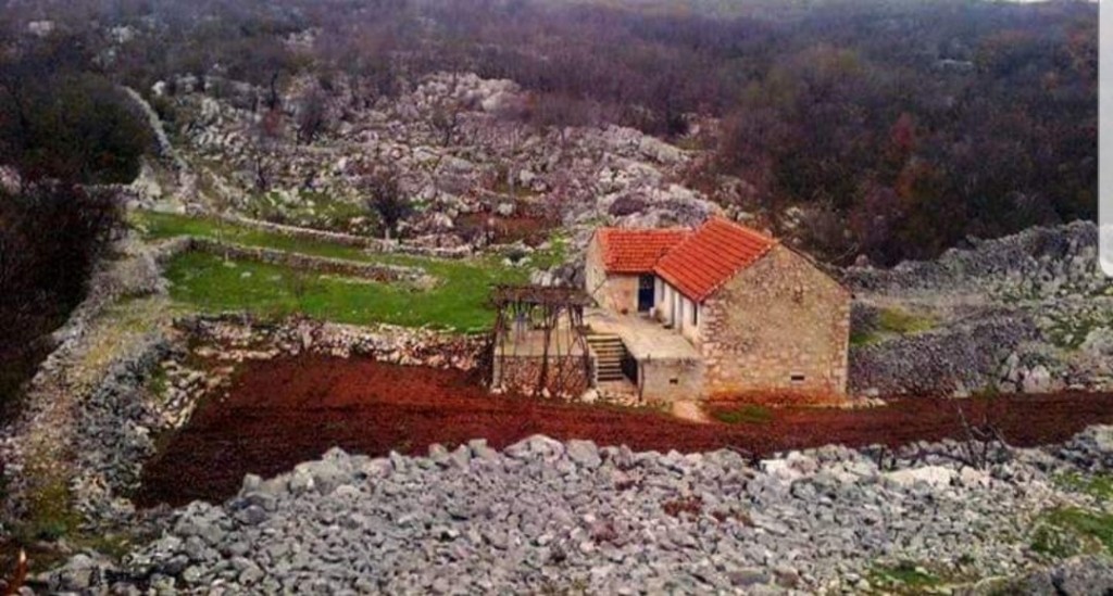 Katarina Zovko Ištuk