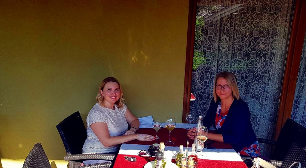 mirjana milićević, ipa program