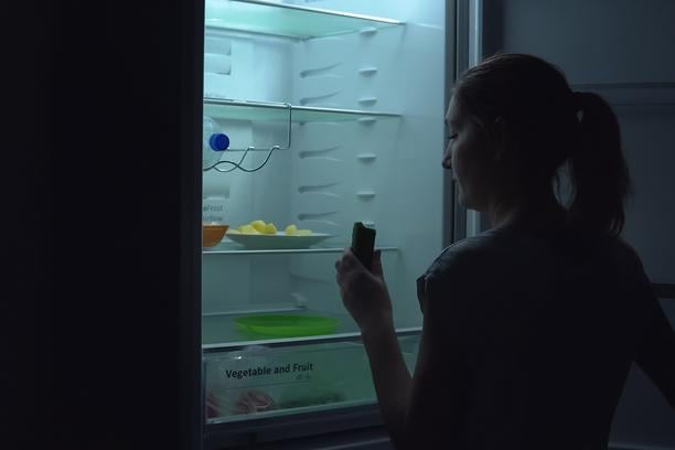 studentica, hladnjak