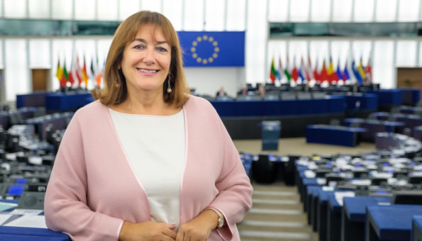 Europski parlament u Briselu, Hrvati u BIH