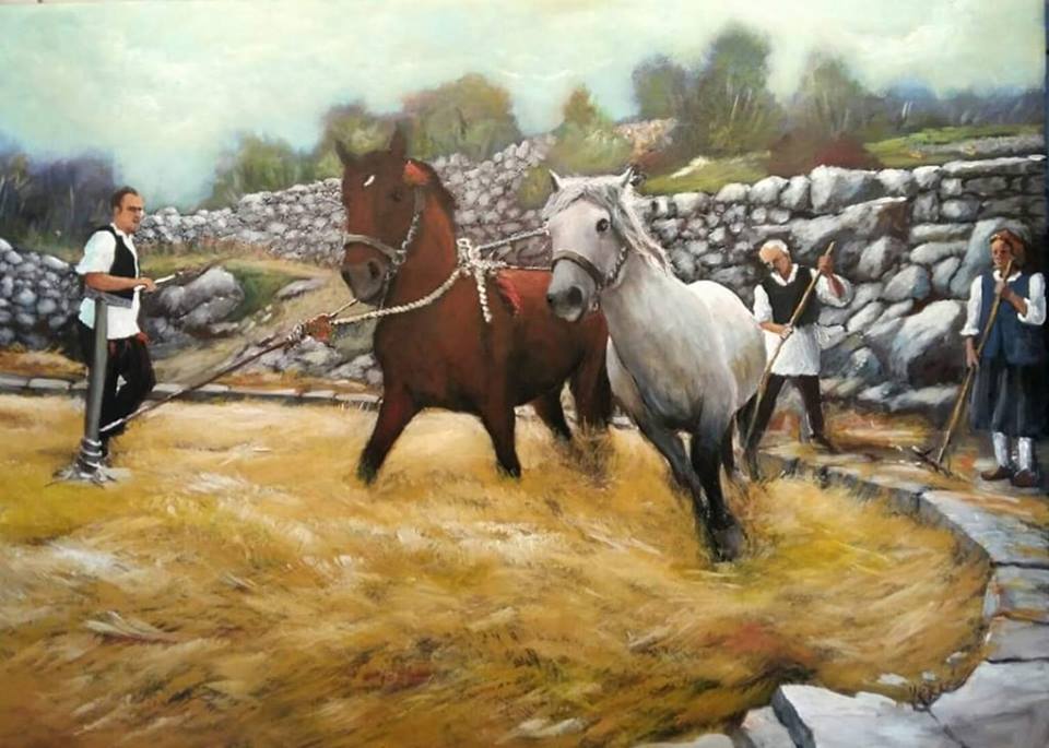 Katarina Zovko Ištuk