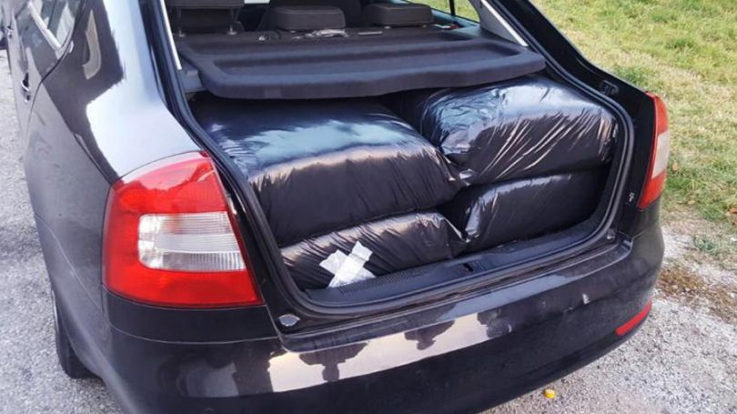 rezani duhan, Konjic