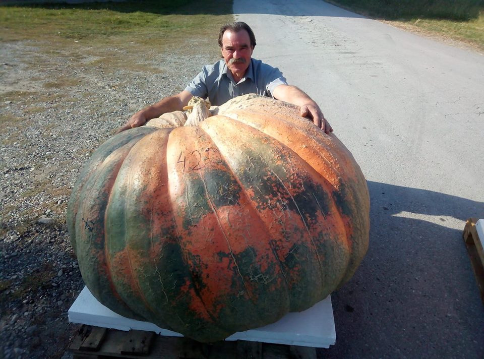 najveća bundeva, bundeva