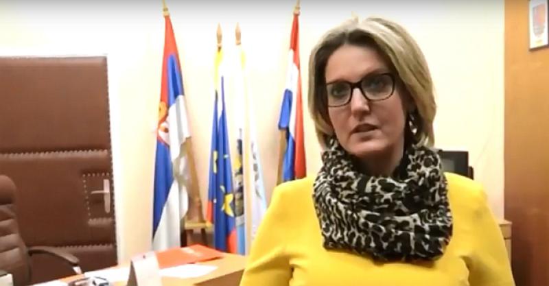 Demokratski savez Hrvata u Vojvodini, DSHV, Hrvati u Srbiji