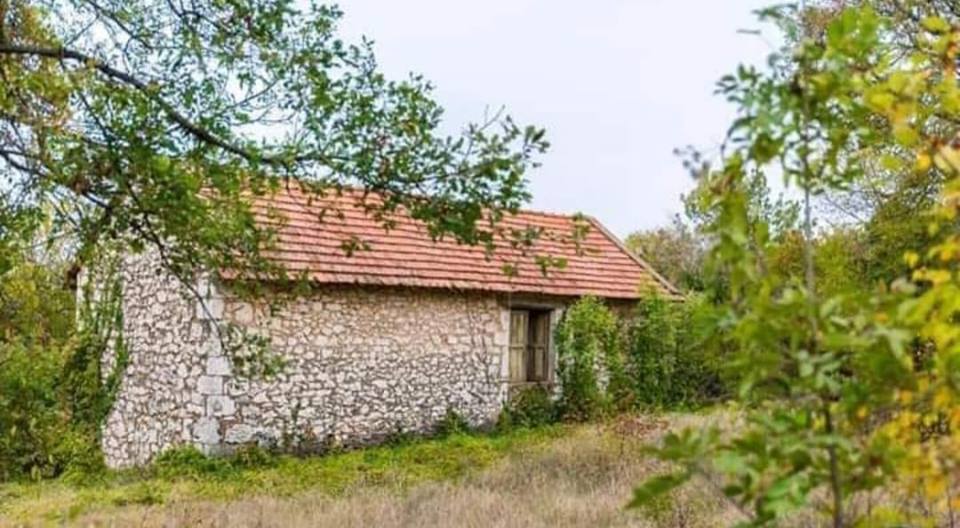 Katarina Zovko Ištuk