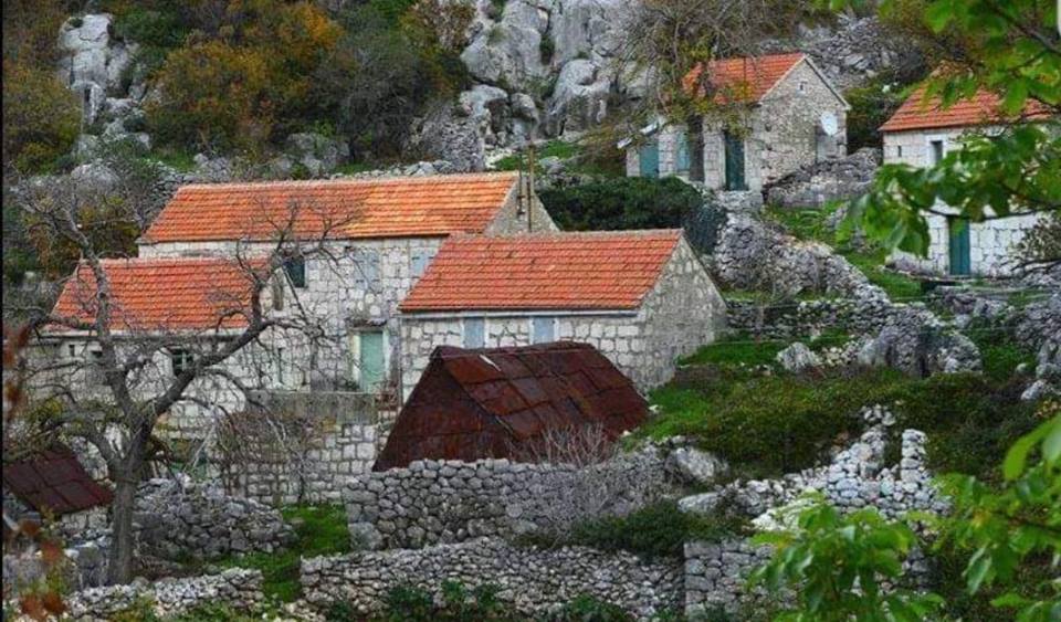 Katarina Zovko Ištuk