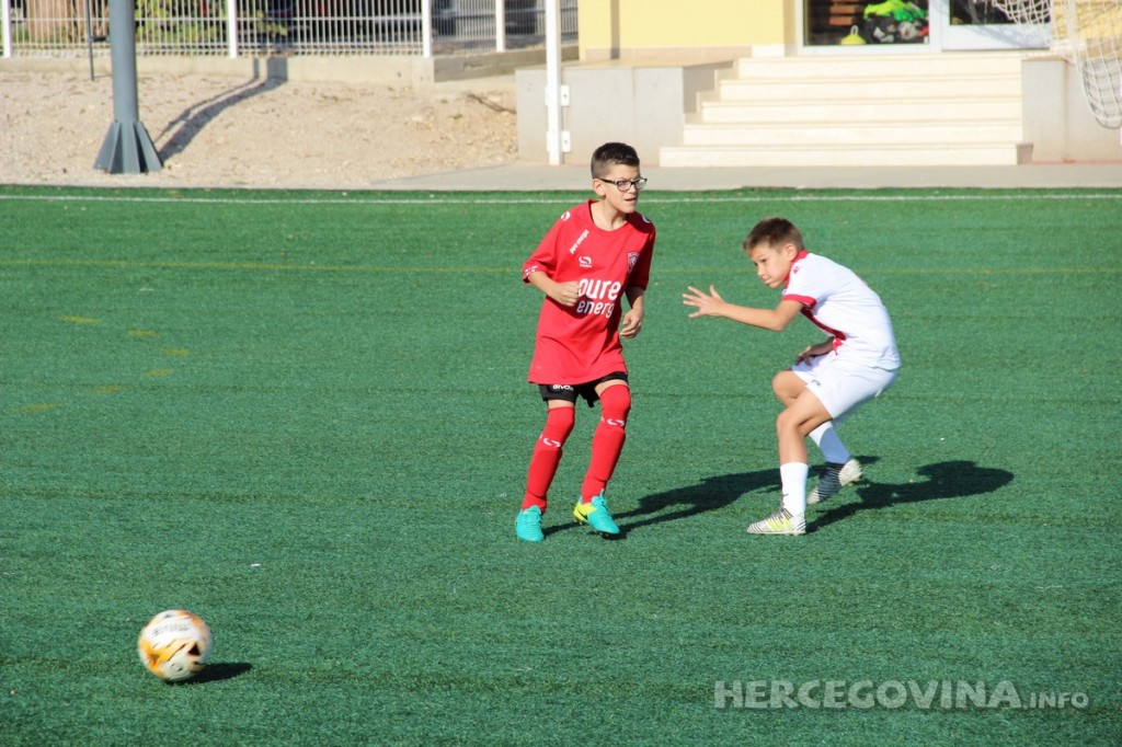 Arena Cup Herzegovina