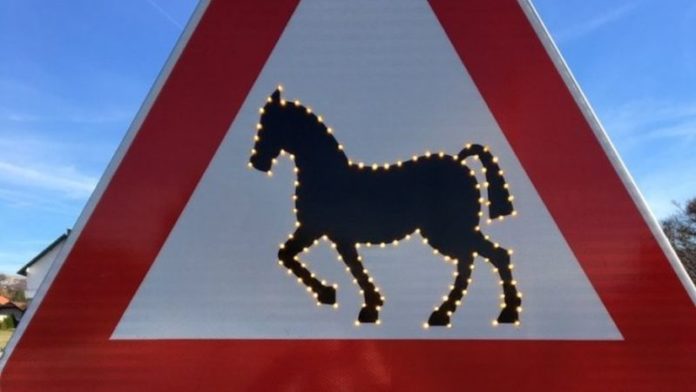 Postavljena svjetlosna signalizacija koja upozorava na divlje konje
