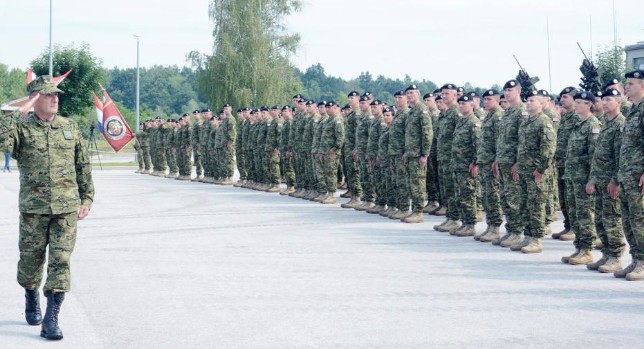 vojska postrojavanje