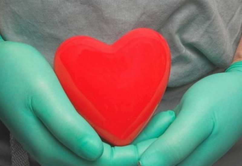 transpalatacija srca