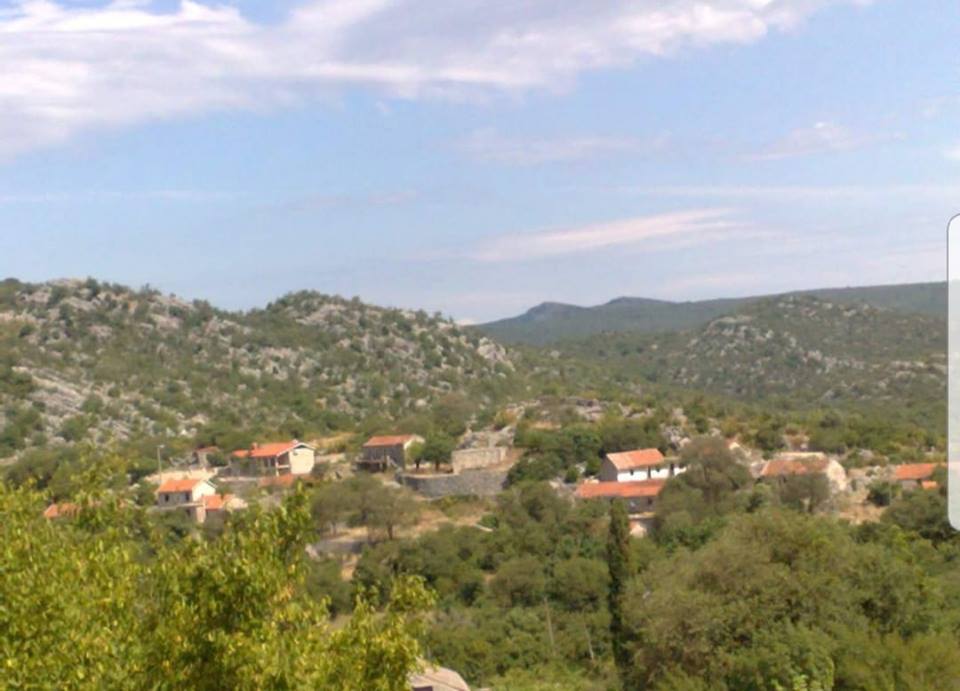 Katarina Zovko Ištuk