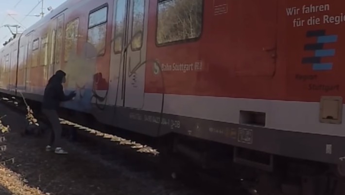 škripari u njemačkoj