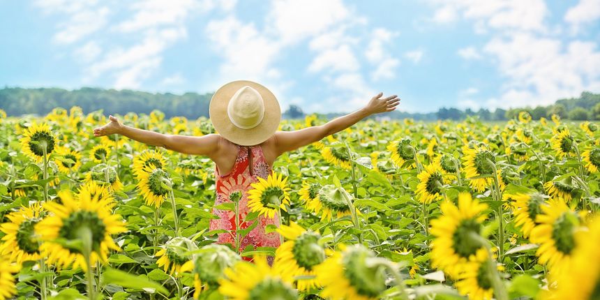 sreća, zdravlje, radost i žalost, sreća, uspjeh
