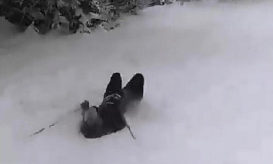 dalmatinac, skijanje