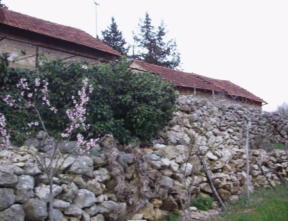 Katarina Zovko Ištuk