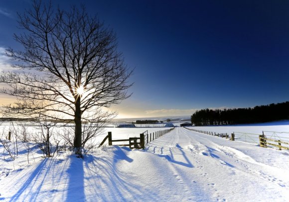siječanj, rođendan, posebnosti