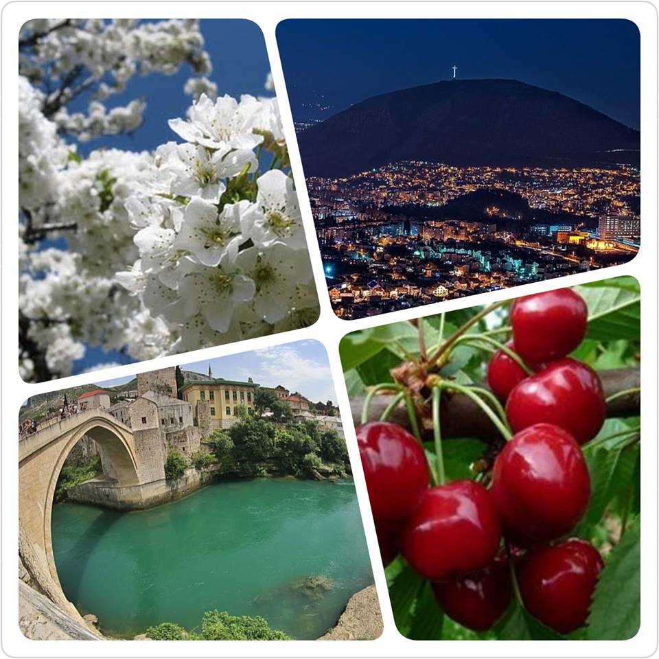 Katarina Zovko Ištuk