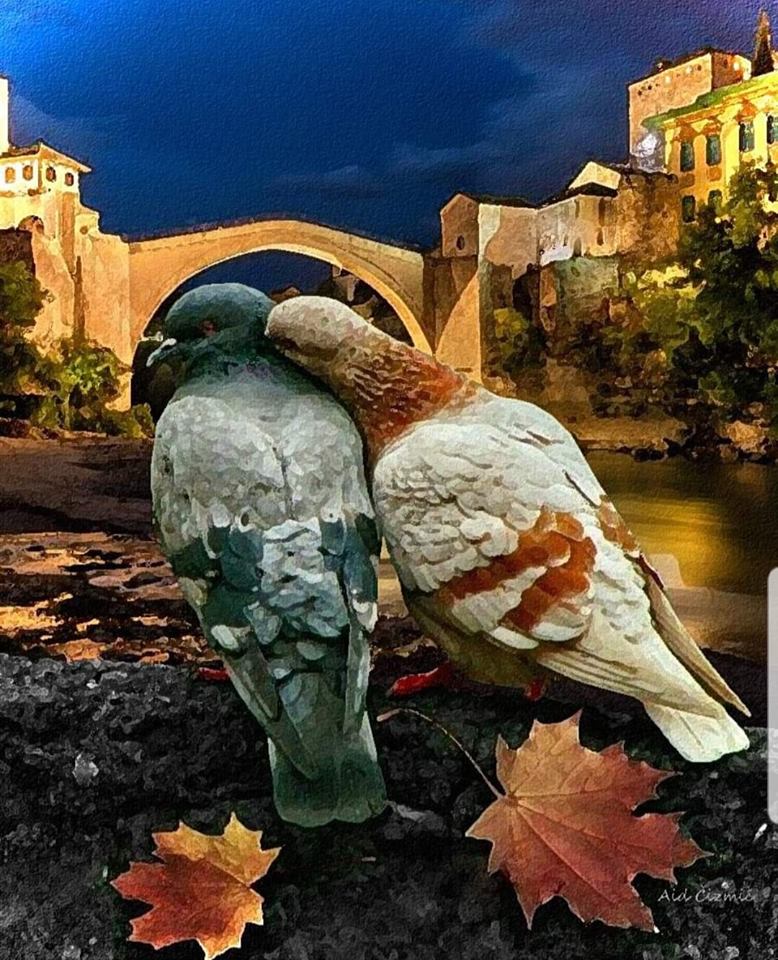 Katarina Zovko Ištuk