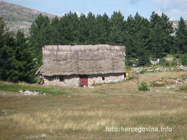 Miljenka Koštro, priča iz hercegovine