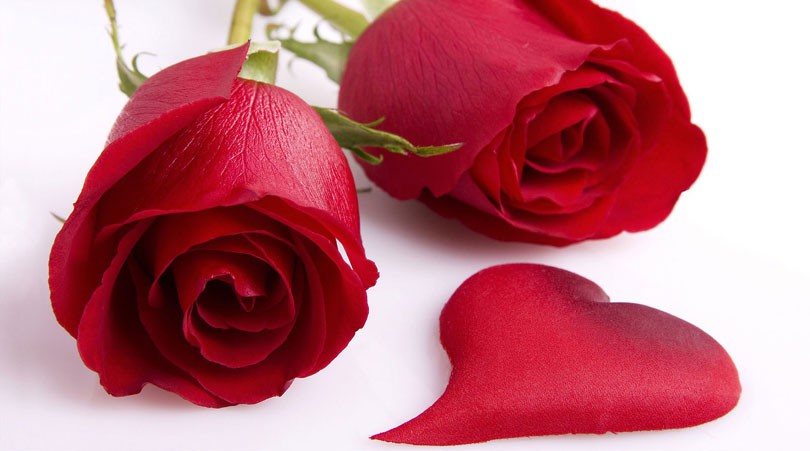 Valentinovo, 8.mart , baka, muškarac, stvari, žene