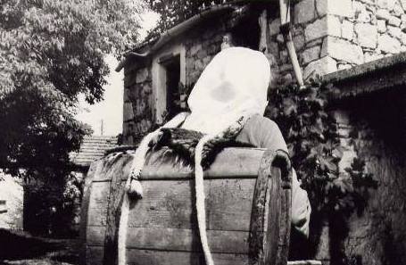 Priča iz Hercegovine: Moja baka