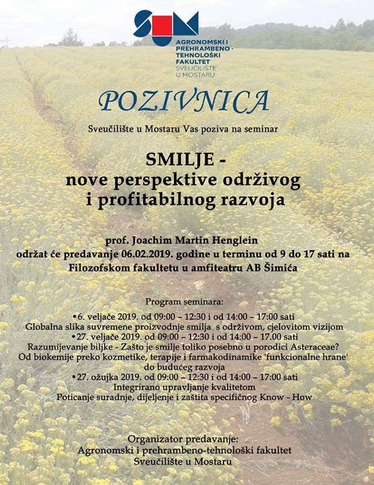 smilje, hercegovačko smilje
