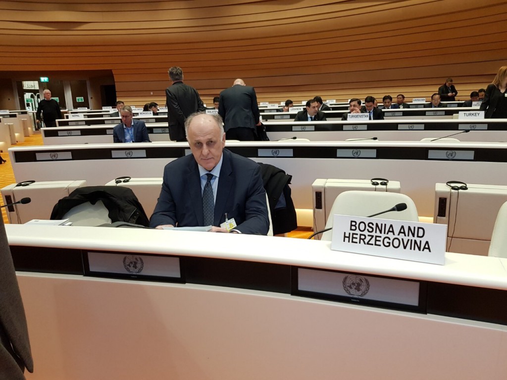 rezolucija bih, saša dalipagić