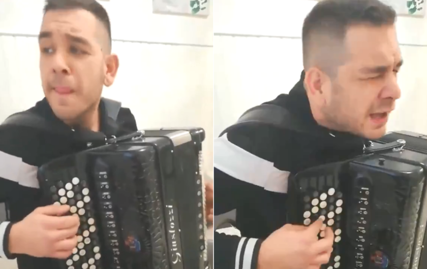 harmonika, zvončići, hit