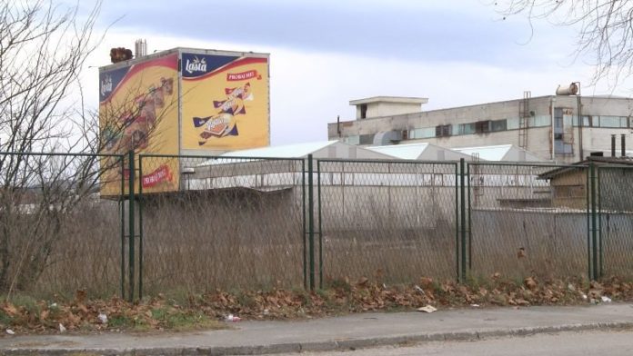 Violeta, lasta, petar ćorluka, Čapljina – Lasta, ulaganje