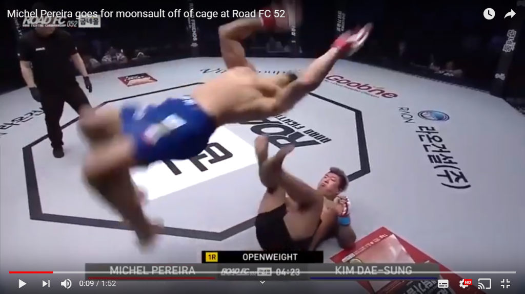 MMA borba, ufc