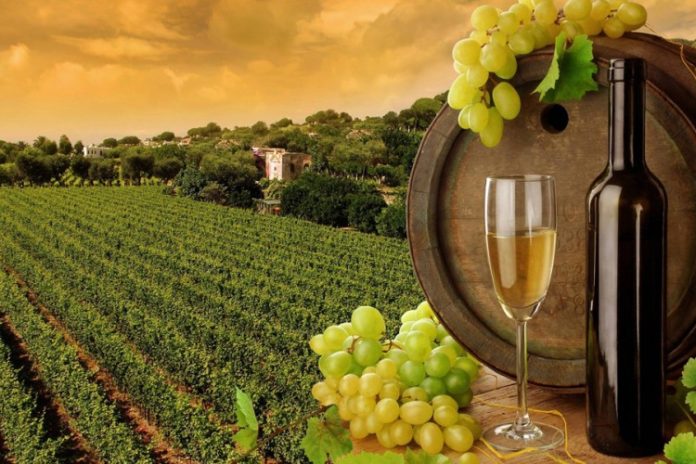 Hrvatska želi zaštititi nazive vina koje i BiH koristi