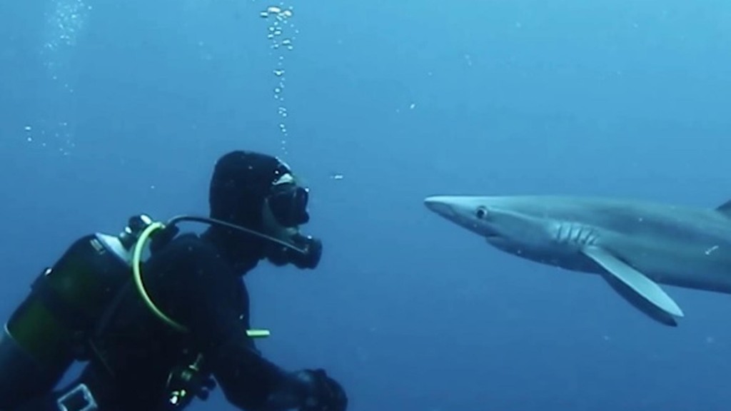 morski pas, iznenađenje, čovjek