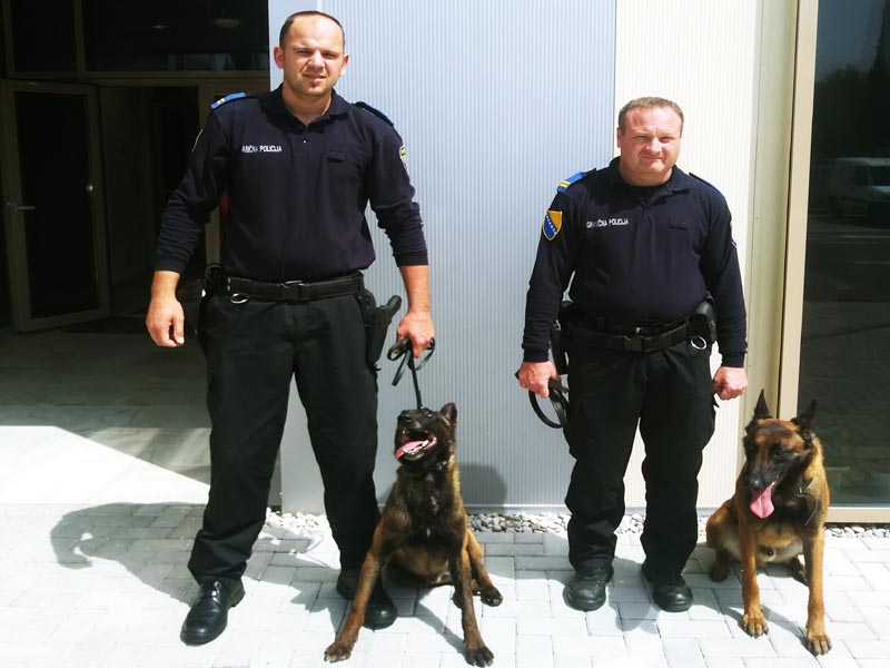 Goran i Leo sa službenim psima